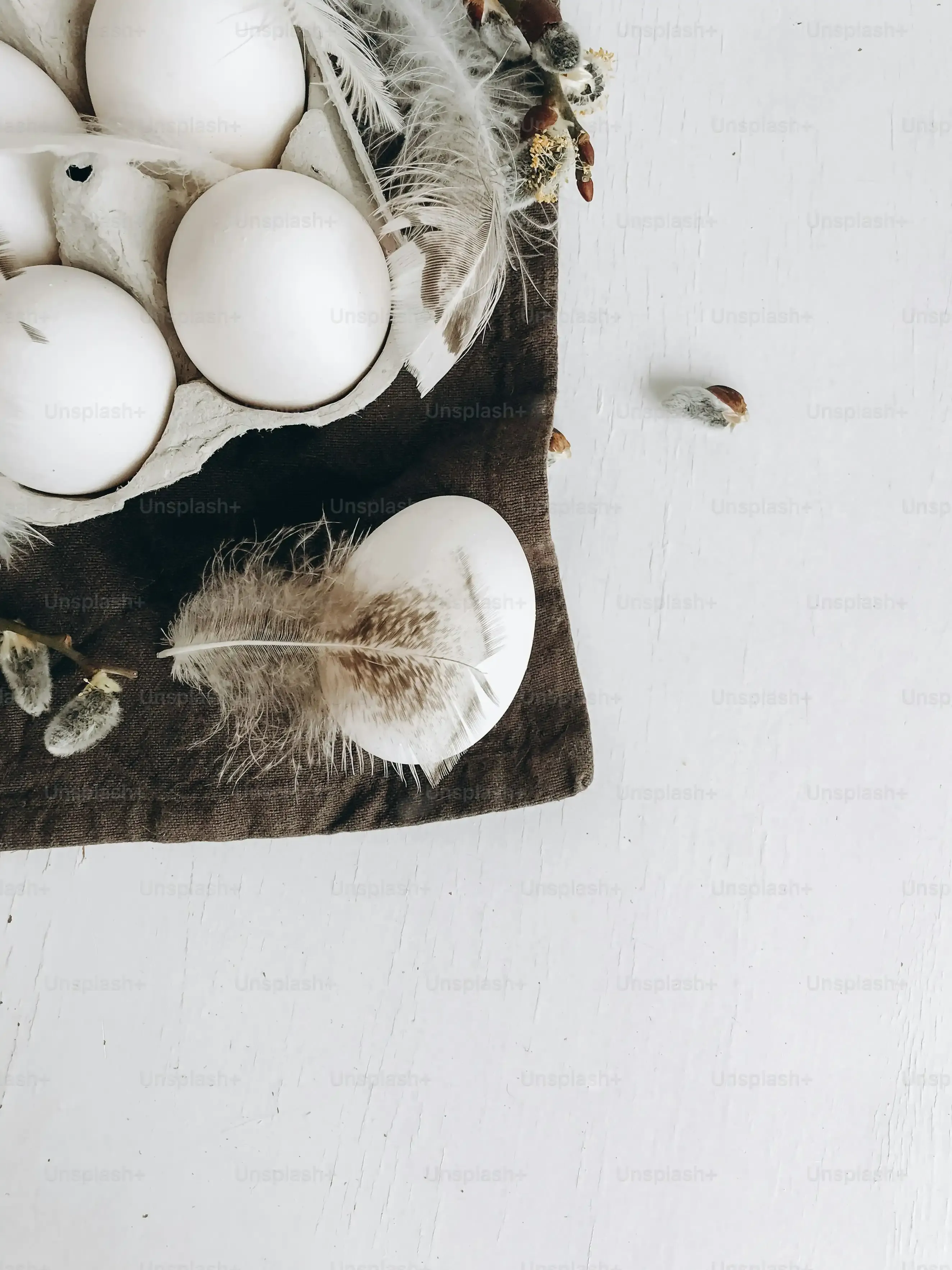 Réussir sa recette patte avant lapin : conseils et astuces