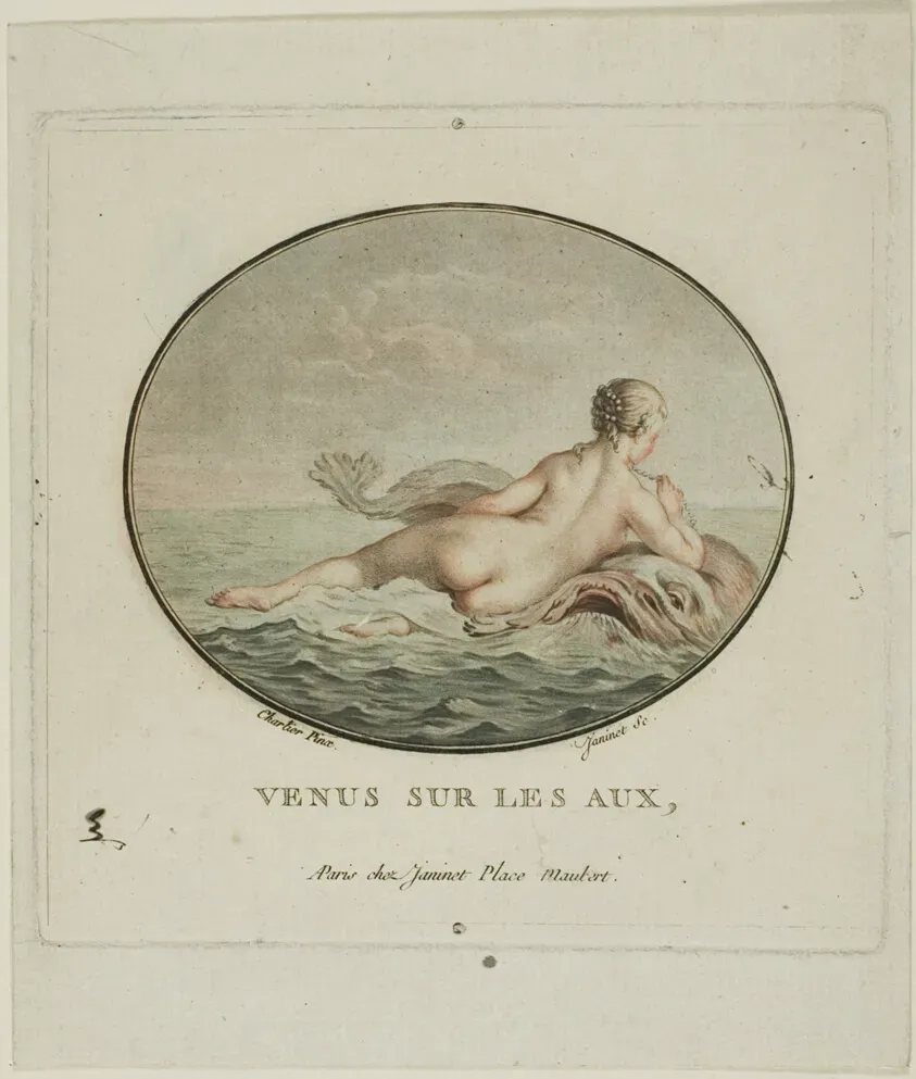 Variations et utilisations de votre recette de pâte brisée