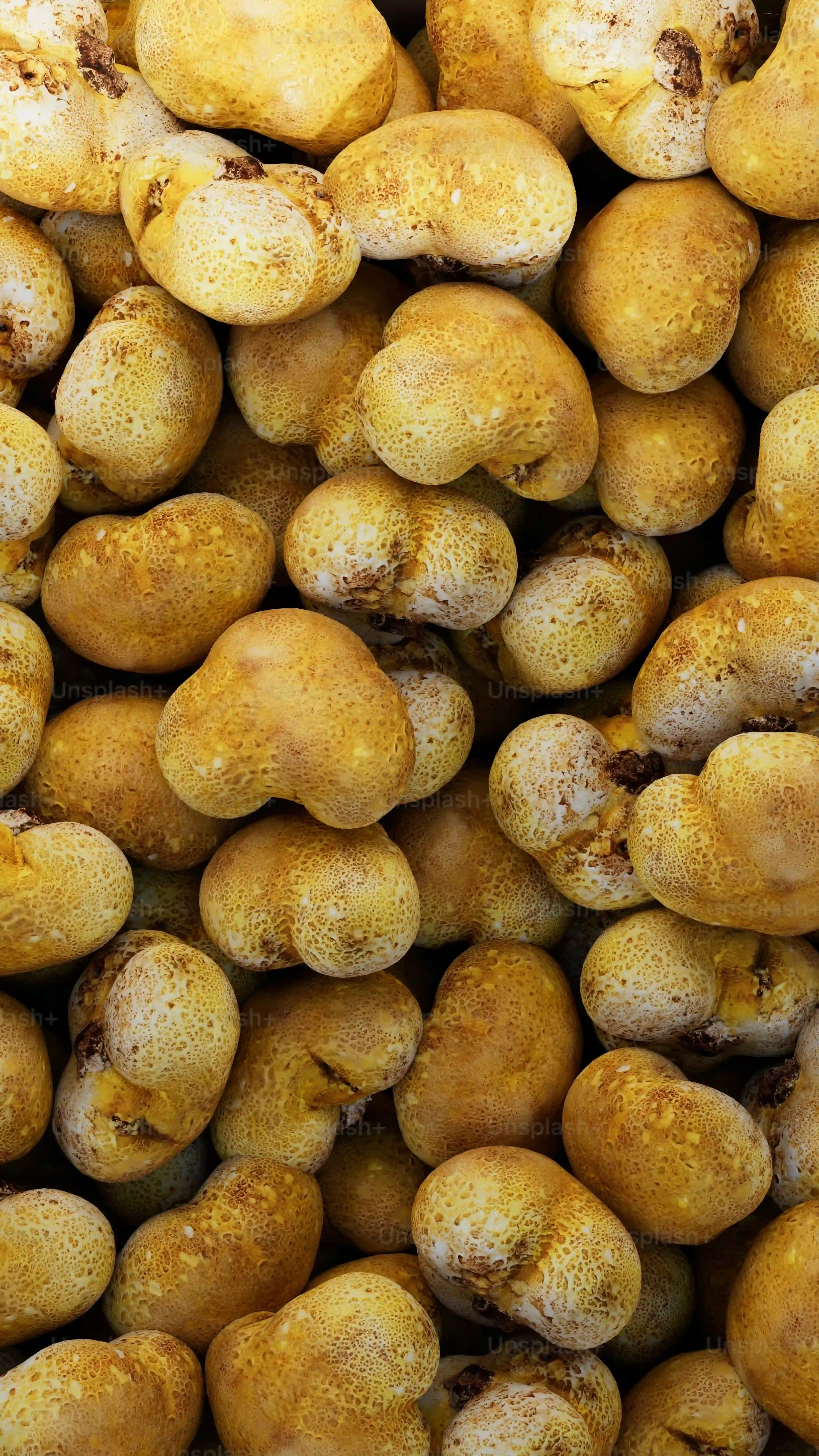 Varier les plaisirs : Idées pour personnaliser votre recette de pâtes aux champignons